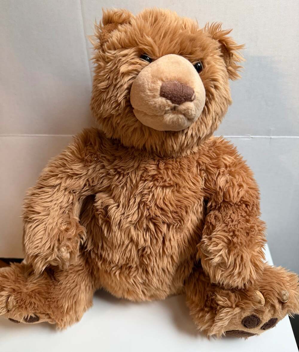 GUND Kohl's Cares Teddy Bear Plush 14" Brown Shaggy Stuffed Animal 44134